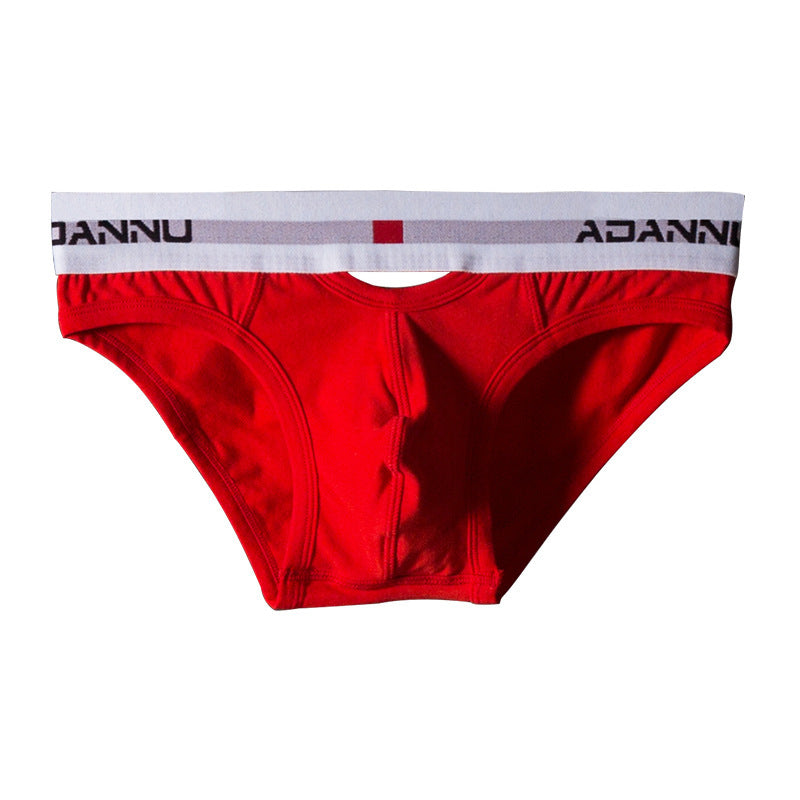 Light cotton briefs