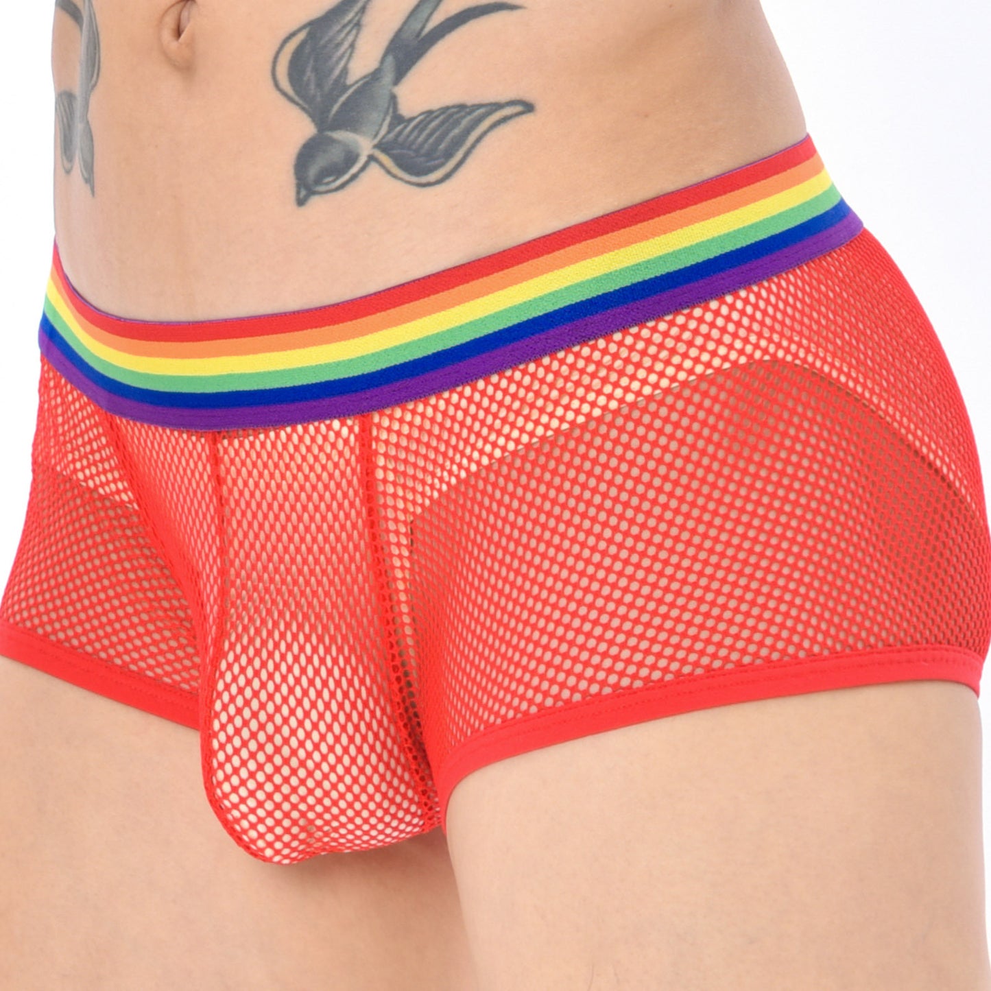 Men's Sexy Low Waist Mesh Rainbow Band Underwear
