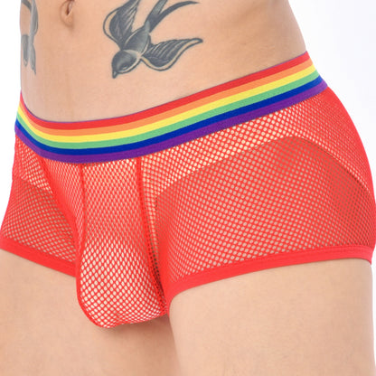 Men's Sexy Low Waist Mesh Rainbow Band Underwear