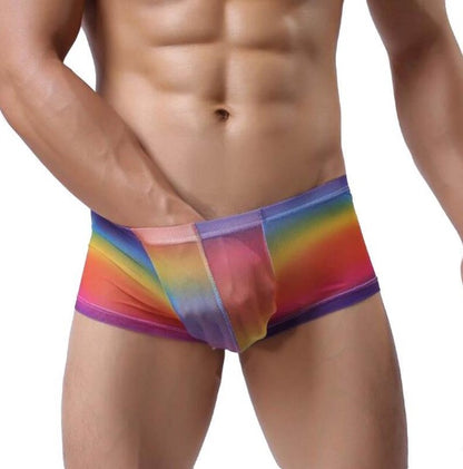 Men's sexy underwear, transparent printed mesh, breathable Rainbow