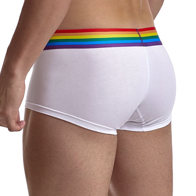 Men’s Rainbow Band Jockmail Underwear