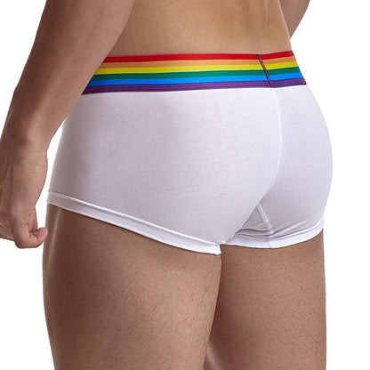 Men’s Rainbow Band Jockmail Underwear