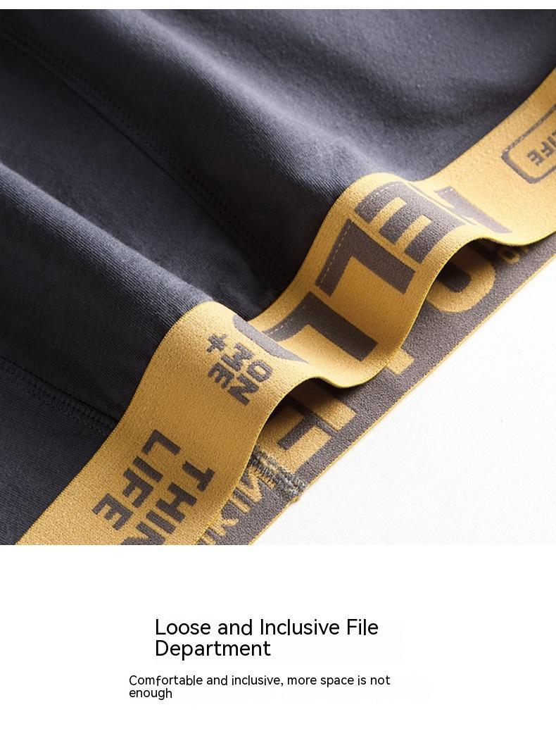 Men's Breathable Briefs Underwear