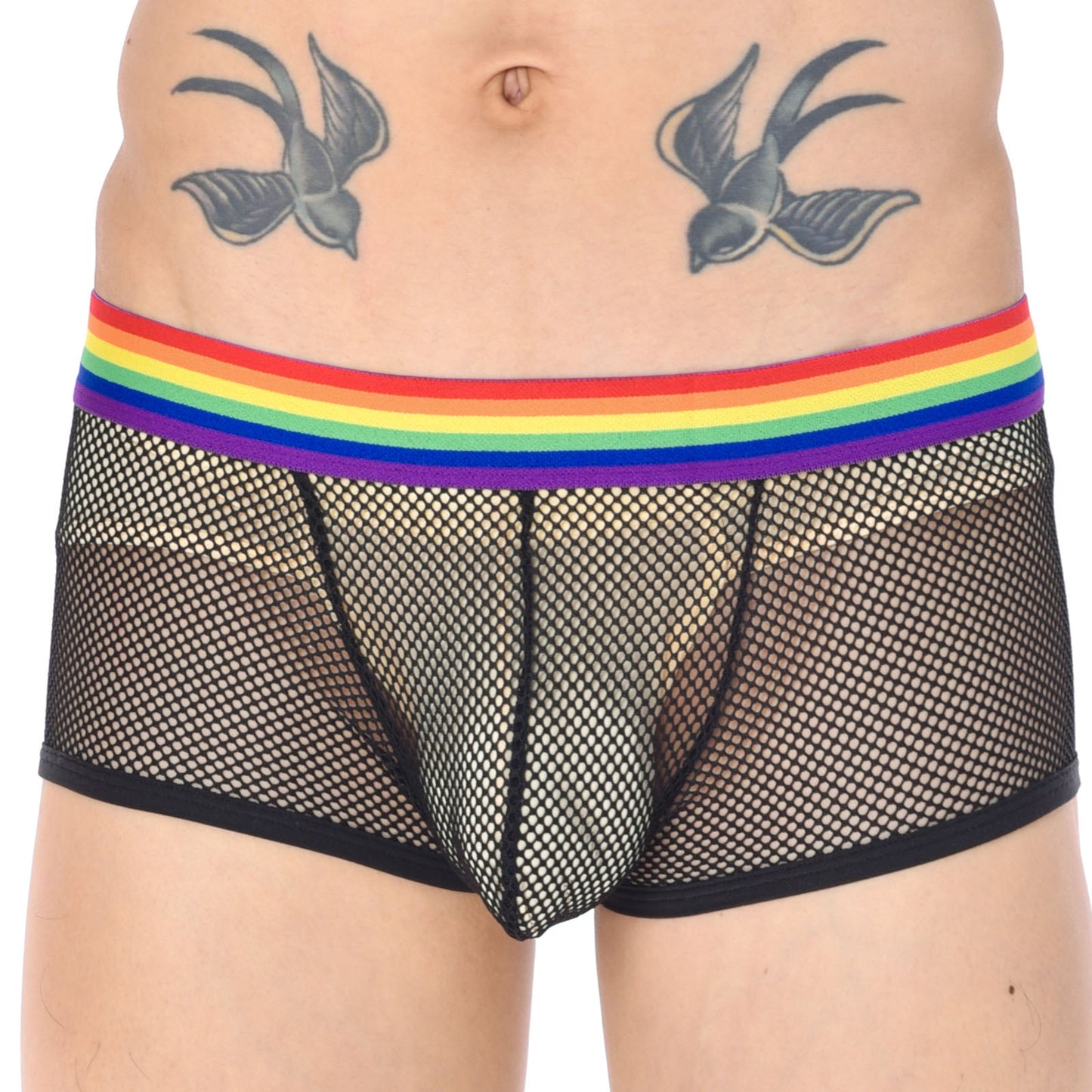 Men's Sexy Low Waist Mesh Rainbow Band Underwear