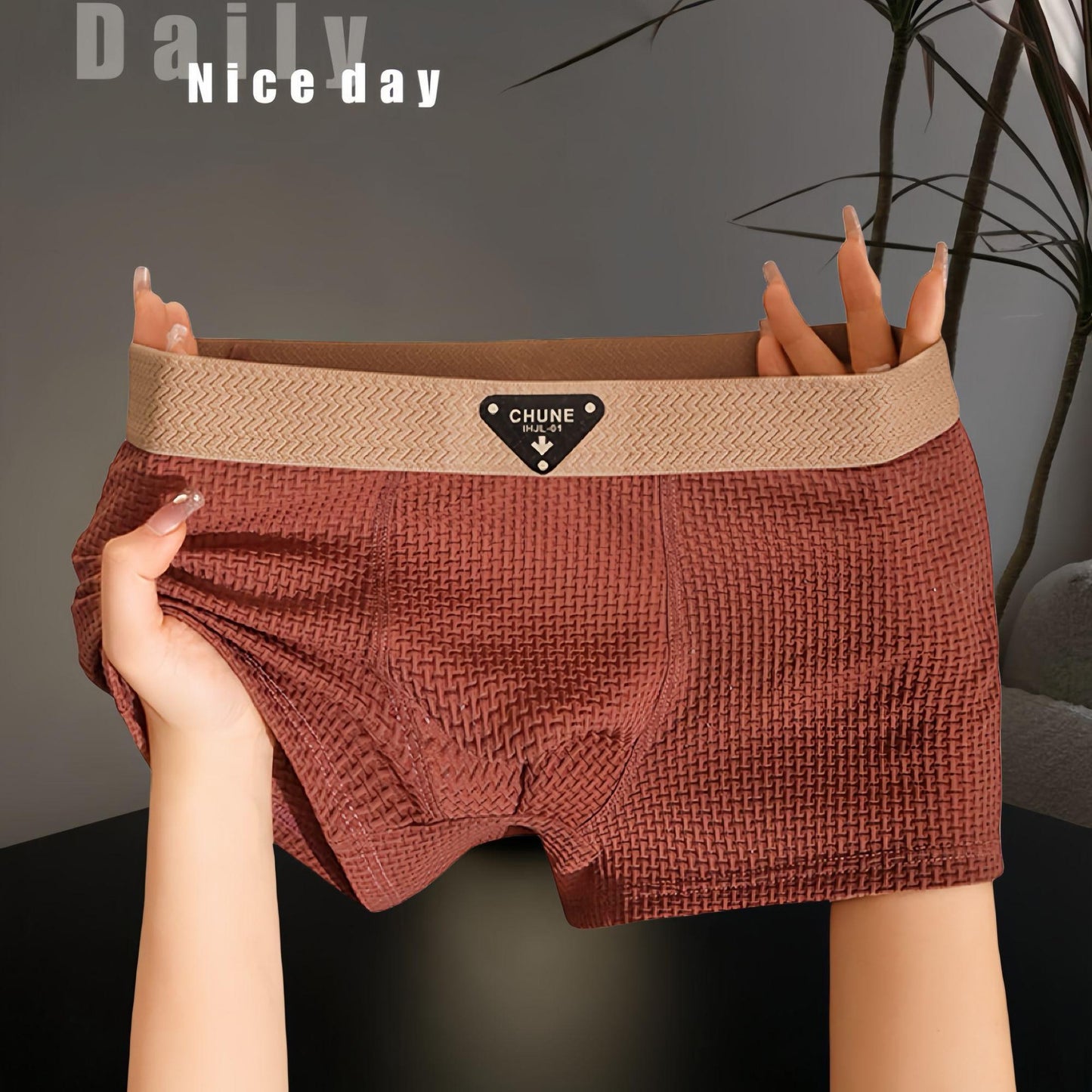 Men's Silk Underwear Boxer